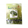 BROCOLI CALABRESE SOBRE X 3 GRAMOS