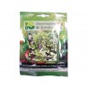 CILANTRO NACIONAL SOBRE X 10 GRAMOS