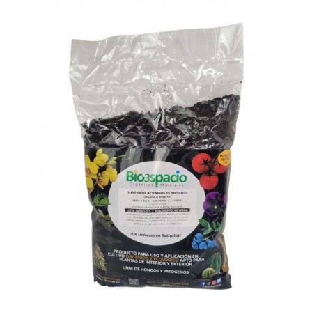 ACUARIOS PLANTADOS 1 KILO