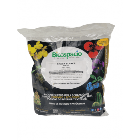 GRAVA BLANCA 1 KILO